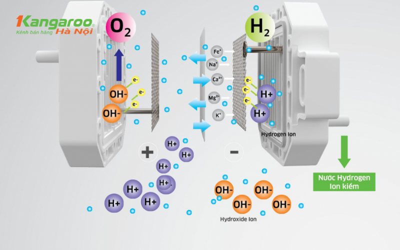 Cung cấp nguồn nước giàu hydrogen