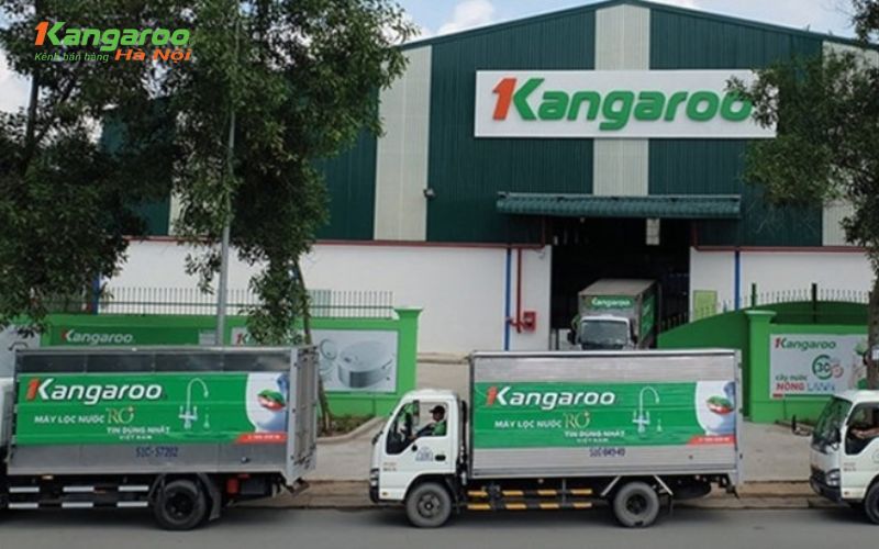Kangaroo - Thương hiệu nổi tiếng đến từ Việt Nam