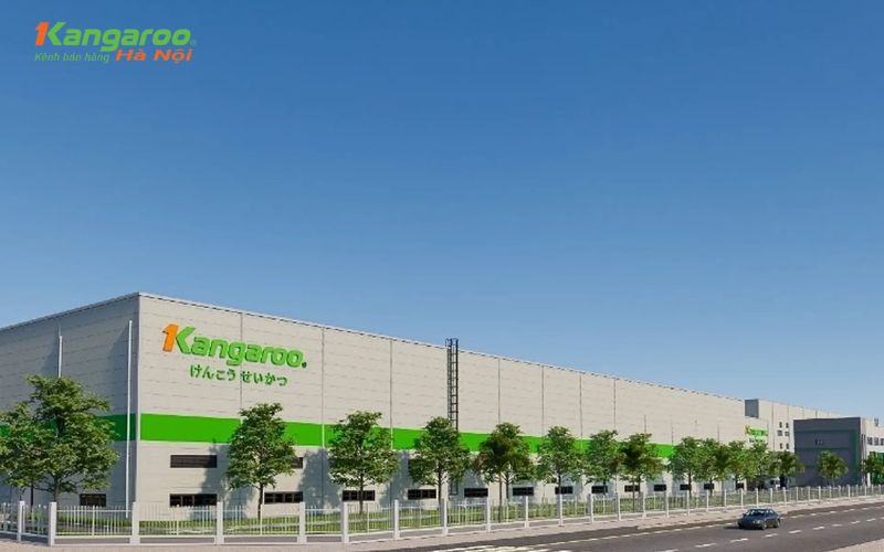 Thương hiệu Kangaroo là của nước nào? Có những sản phẩm nào