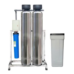 Bộ lọc tổng đầu nguồn gia đình TP - IN02 - INOX, Van tự động, Xử lý Canxi